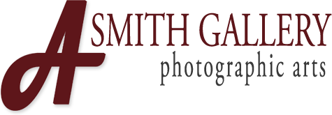 "light" Photography Exhibition