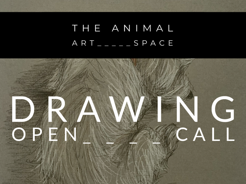 The Animal Artspace: DRAWING