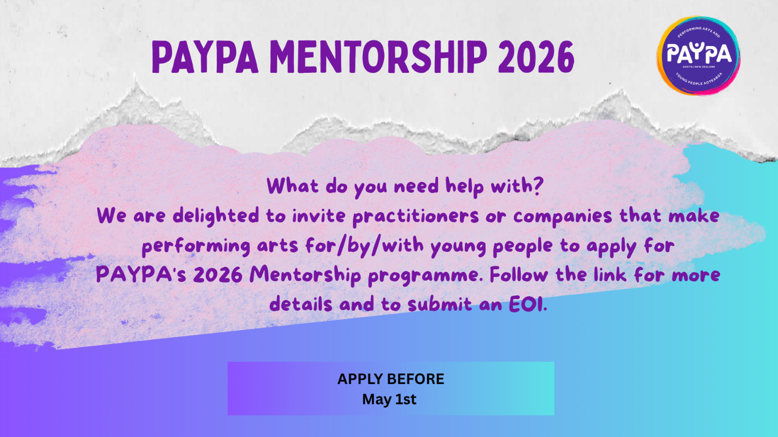 PAYPA Mentorship Programme
