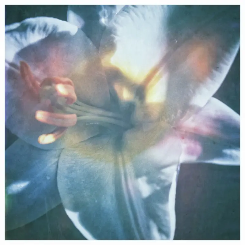 Lily