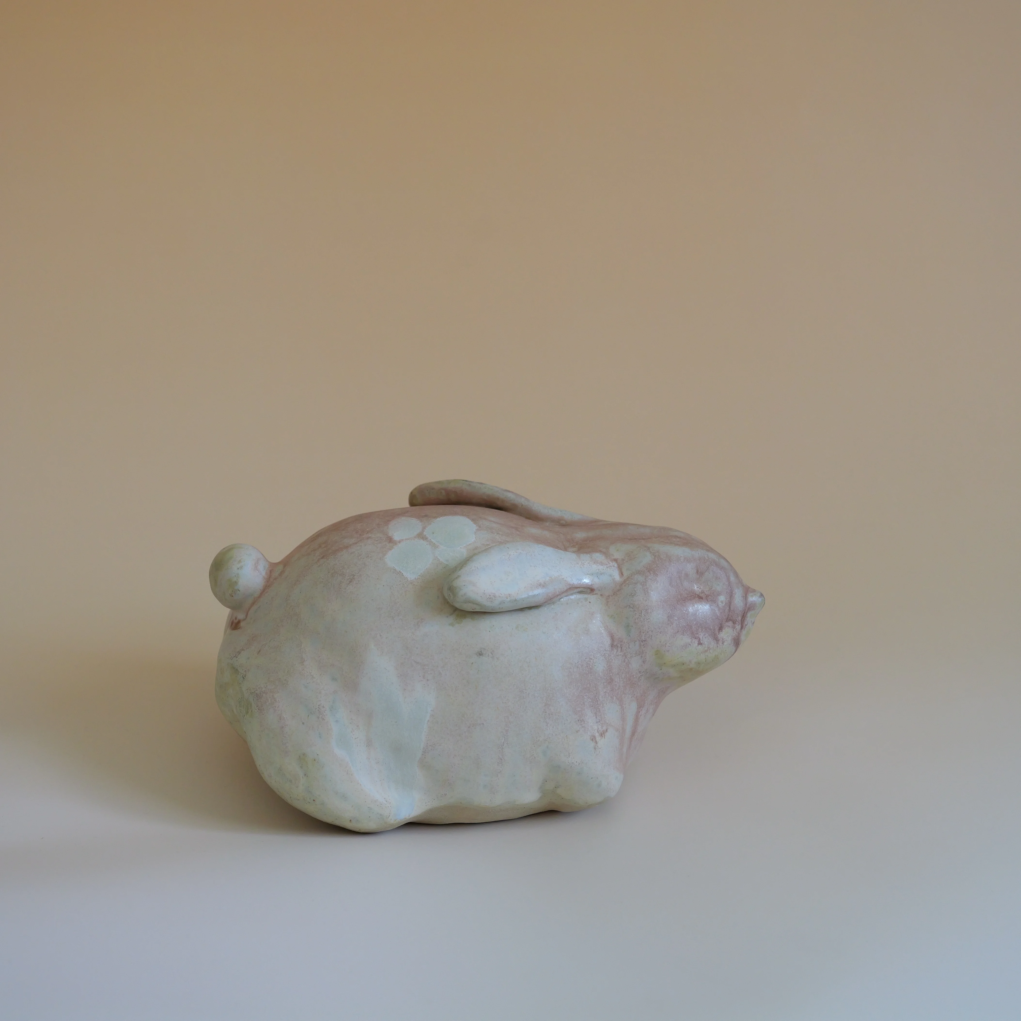 Artist Feature 003: 心怡 / Xinyi Zhang. Tāmaki Makaurau-based ceramicist and photographer, Xinyi builds subtle, luminous objects from handbuilt clay, each one a vessel of memory, childhood, and the natural world. Her practice moves between ceramic sculpture and high-quality documentary photography, the two so closely entwined it is difficult to say where one ends and the other begins. We discussed clay as a way of touching land, the poetics of permanence and impermanence, and what emerging artists in Aotearoa need more of right now.