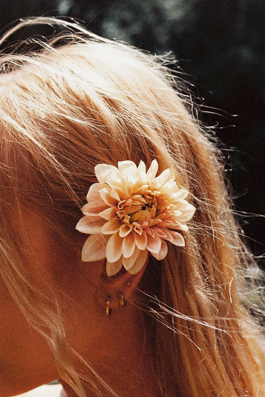     Self Portrait with a Flower (2026). Lomography Magazine. 35mm LomoChrome ClassiColor 200.