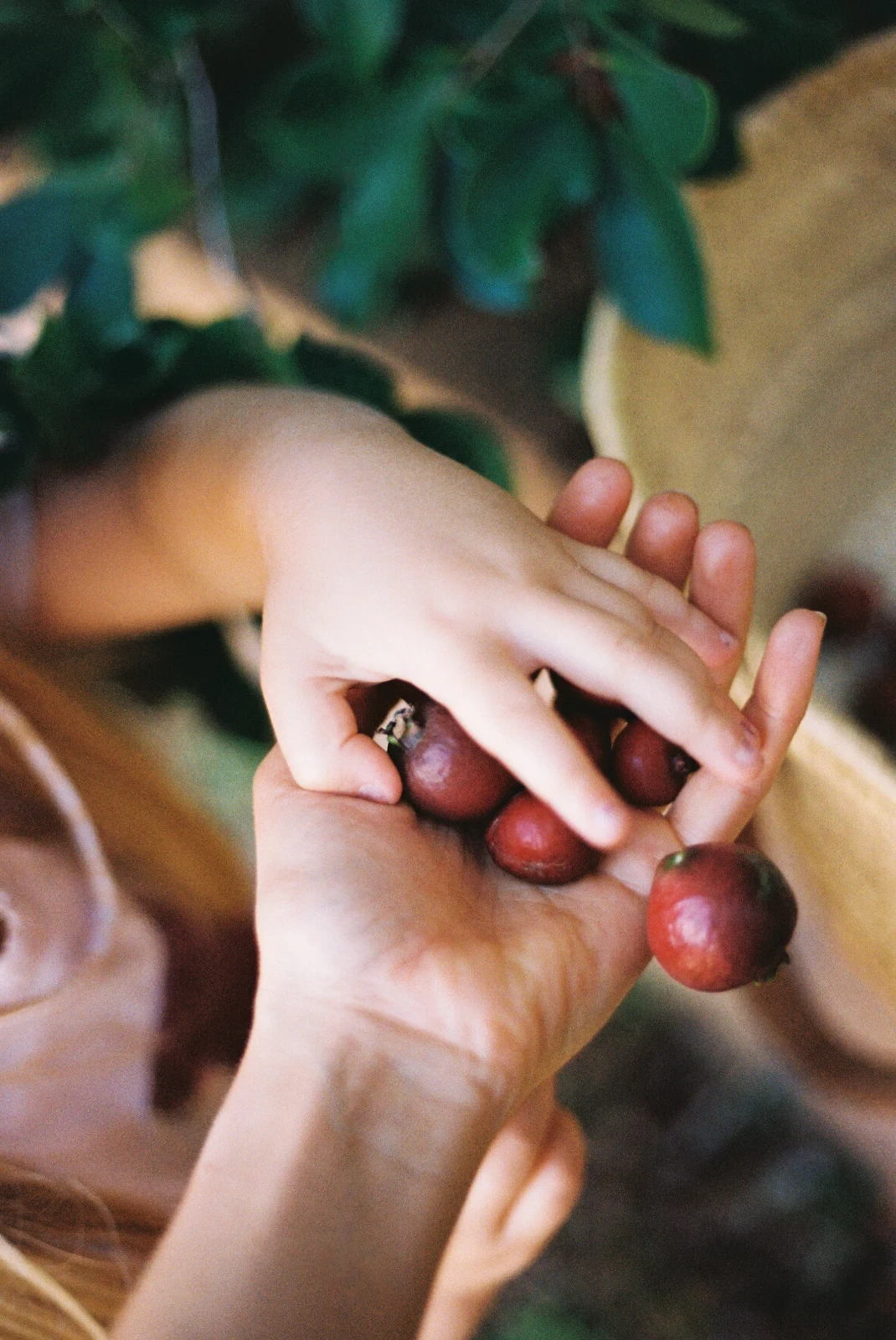 Artist Feature 009: Isabella Rose Young. Tāmaki Makaurau / Te Tai Tokerau analogue photographer and moving-image artist @isabellaroseyoung works intentionally slowly across 35mm, Super 8, darkroom printing, painting and writing. Her daughter appears throughout the work, but we never see her face. We discussed privacy, disappearing materials, and what the arts lose when visibility matters more than making.