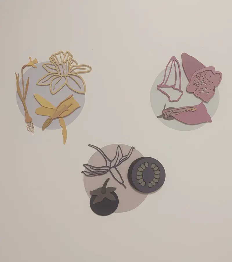 Work by Chloe Sutherland