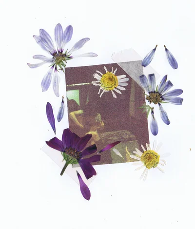 elise brown (daisy)