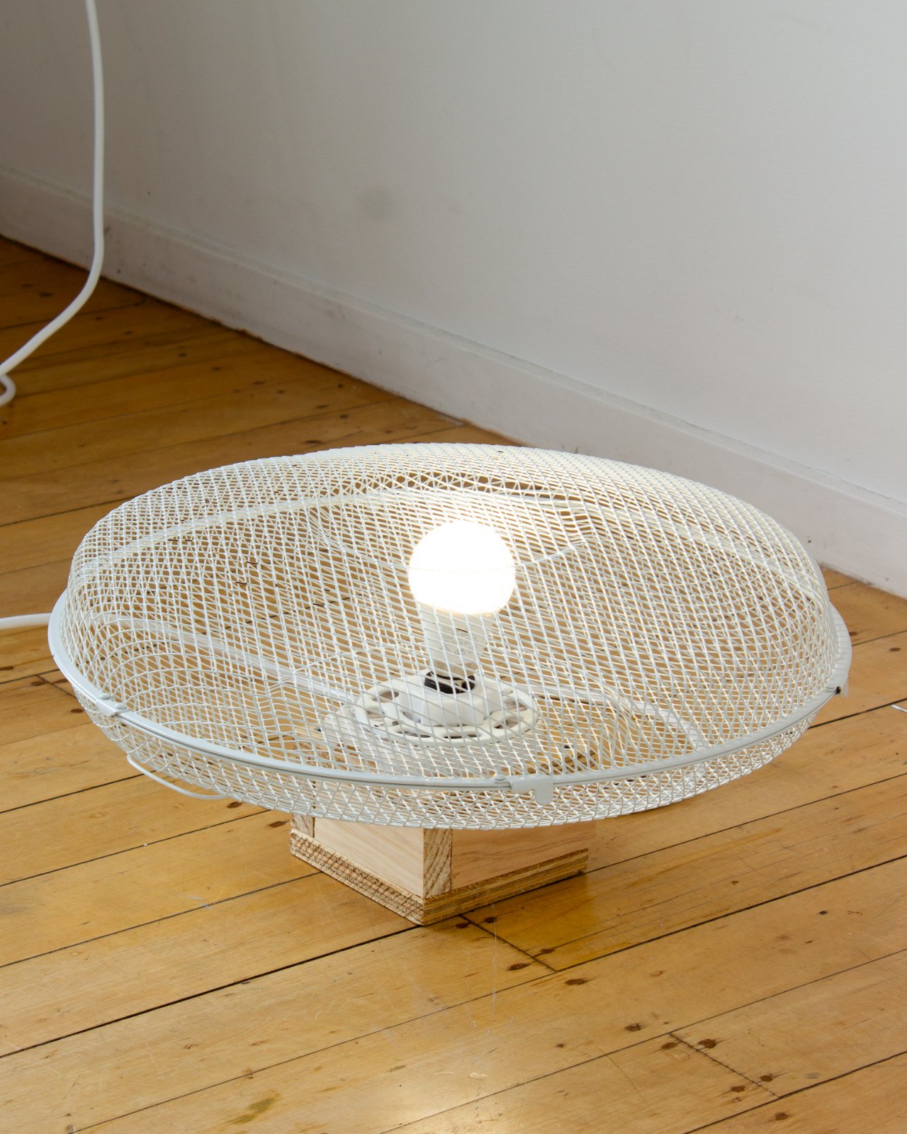 Untitled(fan cage)