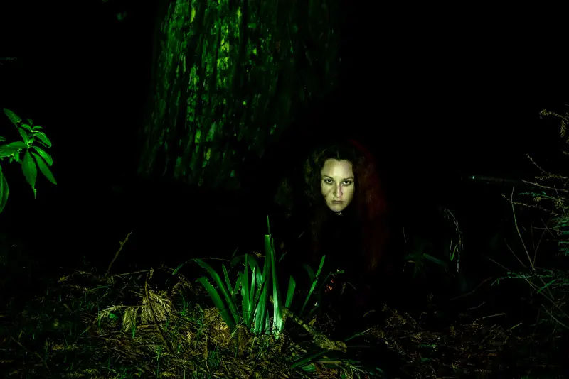 colour photo, night shoot in the woods